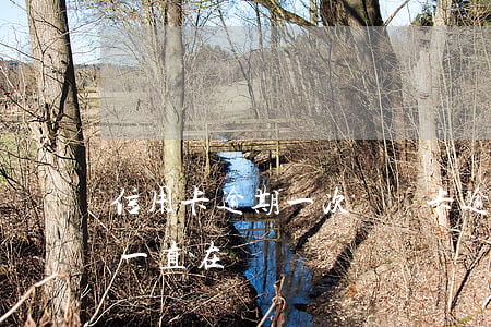 信用卡逾期一次會銷卡(逾期后銷卡了征信會一直在嗎)