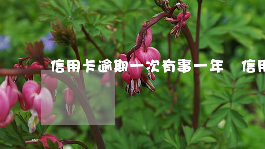 信用卡逾期一次有事 一年內信用卡逾期兩次