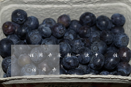 信用卡逾期一次申請信用卡秒拒(逾期了申請信用卡)