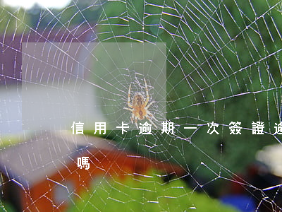 信用卡逾期一次簽證(逾期一次能辦理信用卡嗎)
