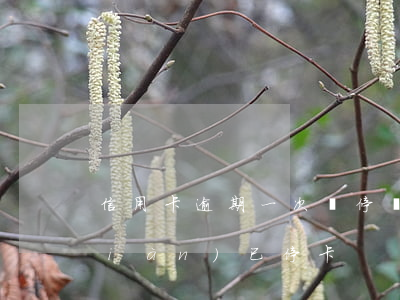 信用卡逾期一次給停嗎(我信用卡逾期現(xiàn)已停卡)
