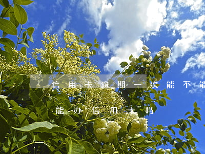 信用卡逾期一次能不能办按揭-贷款逾期了能办信用卡吗