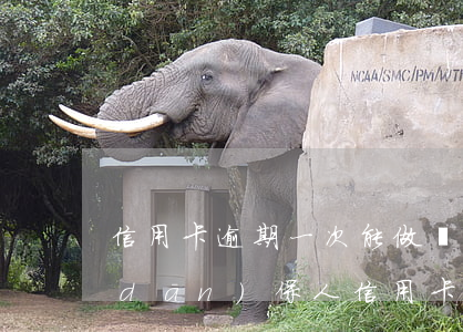 信用卡逾期一次能做擔(dān)保嗎(擔(dān)保人信用卡逾期影響貸款人貸款嗎)