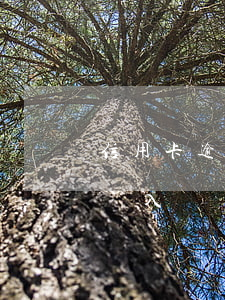 信用卡逾期一次能入黨嗎(信用卡逾期可以申請入黨嗎)