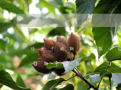 信用卡逾期一次能小額貸款嗎-逾期一個月還能申請信用卡嗎