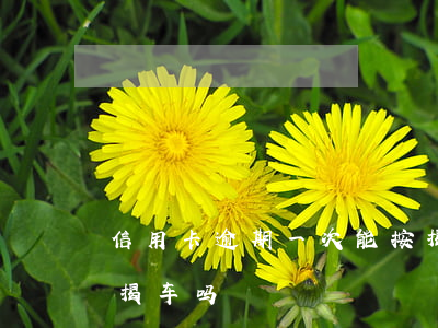 信用卡逾期一次能按揭车吗(征信逾期过能按揭车吗?)