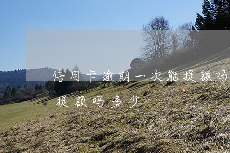 信用卡逾期一次能提额吗(信用卡逾期一次能提额吗多少)