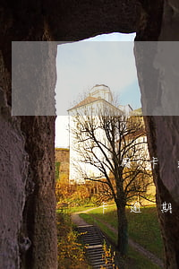 信用卡逾期一次能撤銷(xiāo)嗎(信用卡逾期怎樣申請(qǐng)撤銷(xiāo))