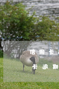 信用卡逾期一次能注銷(xiāo)嗎(信用卡逾期多次現(xiàn)在注銷(xiāo)了以后會(huì)有影響嗎)