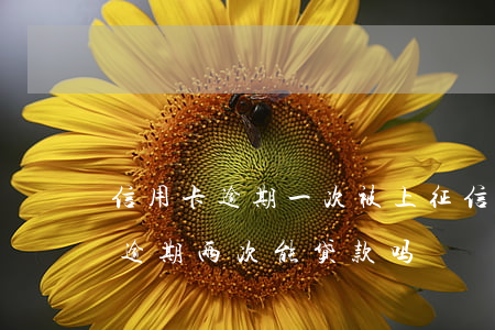 信用卡逾期一次被上征信(征信报告中信用卡逾期两次能贷款吗)