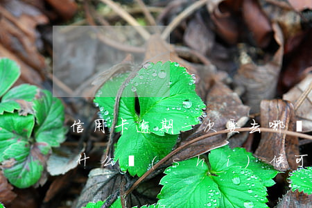 信用卡逾期一次要去哪開證明-有逾期記錄什么時(shí)候可以辦信用卡