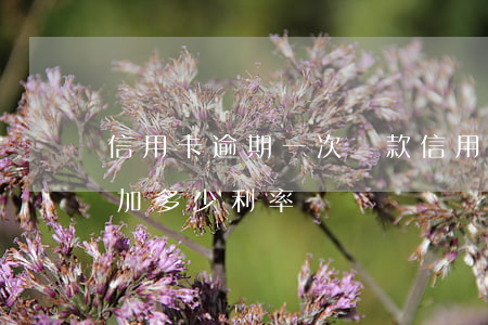 信用卡逾期一次 貸款(信用卡逾期一次貸款增加多少利率)