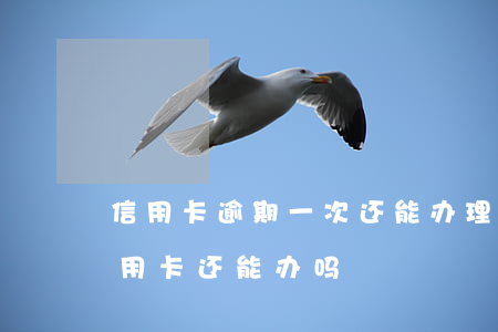 信用卡逾期一次还能办理吗-逾期了一张信用卡还能办吗