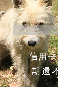 信用卡逾期一次還不了怎么辦-欠信用卡逾期還不上怎么辦