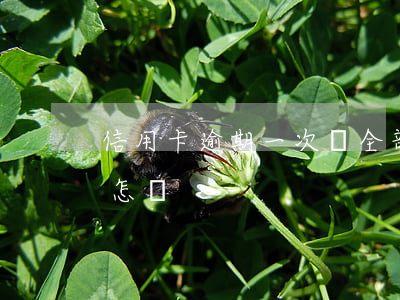信用卡逾期一次還全部(逾期一天還信用卡會怎樣)