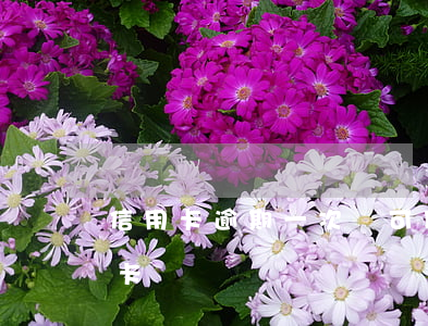 信用卡逾期一次還可以用嗎(逾期還能用信用卡嗎)