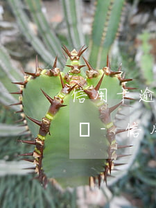 信用卡逾期一次還幾塊錢(qián)可以嗎-信用卡逾期一次還幾塊錢(qián)可以嗎怎么辦