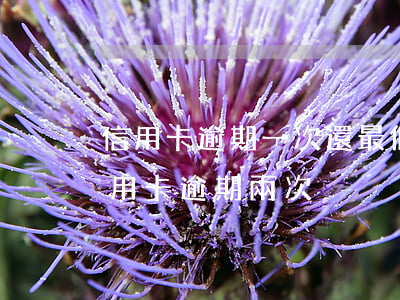 信用卡逾期一次還最低(一年內(nèi)信用卡逾期兩次)
