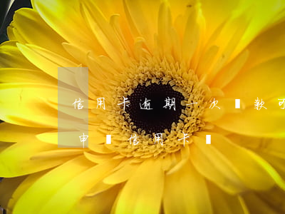 信用卡逾期一次還款可以嗎(有一次逾期還能申請信用卡嗎)