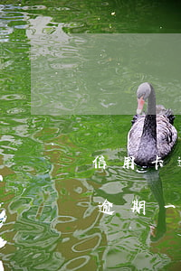 信用卡逾期一次還清了還有影響嗎-信用卡逾期一次還清了還有影響嗎知乎