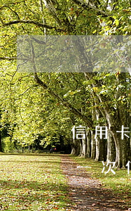 信用卡逾期一次還清后會被限制嗎(只逾期過一次信用卡,之后都按時還款,征信影響大嗎)