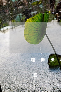 信用卡 逾期 一次（銀行信用卡逾期一次有什么影響嗎）