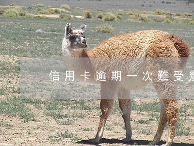 信用卡逾期一次難受(幾千塊信用卡逾期)
