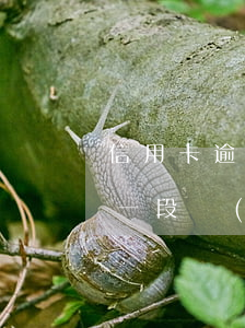 信用卡逾期一段時(shí)間(信用卡逾期一段時(shí)間會(huì)怎么樣)