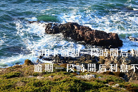 信用卡逾期一段時間后利息不漲了-信用卡逾期一段時間后利息不漲了怎么辦