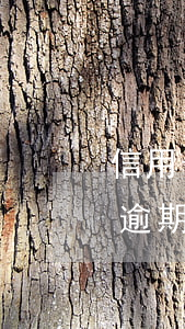 信用卡逾期一段時間怎么消除 所有的信用卡逾期怎么辦