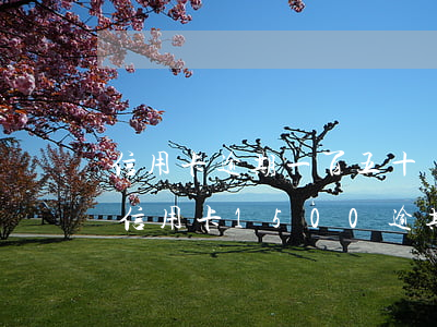 信用卡逾期一百五十萬會(huì)怎么樣(信用卡1500逾期1年了,要還多少)