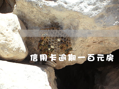 信用卡逾期一百元房貸(信用卡逾期一百元房貸)