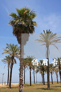 信用卡逾期一百多塊錢