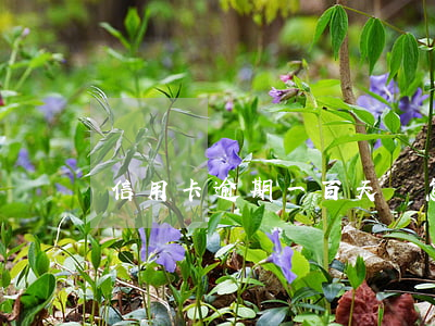 信用卡逾期一百天會怎么樣