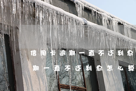 信用卡逾期一直不还利息怎么算-信用卡逾期一直不还利息怎么算的
