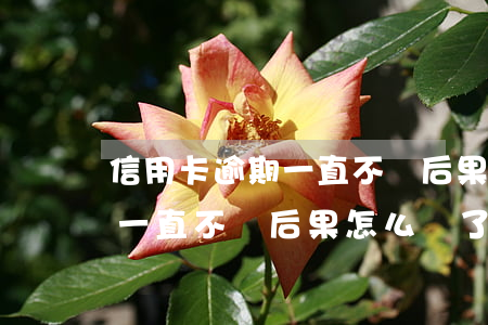 信用卡逾期一直不還后果怎么樣(信用卡逾期一直不還后果怎么樣了)