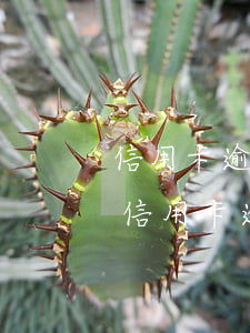 信用卡逾期一直不還會(huì)坐牢嗎-信用卡逾期一直不還會(huì)坐牢嗎
