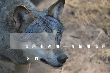 信用卡逾期一直使用(信用卡逾期一直使用怎么辦)