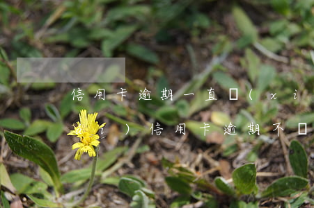 信用卡逾期一直協(xié)商不下來(lái)(信用卡逾期不給協(xié)商)
