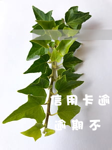 信用卡逾期一直協(xié)商不了(信用卡逾期不給協(xié)商)
