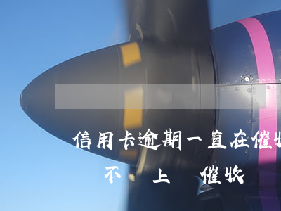 信用卡逾期一直在催收(信用卡,小額貸款逾期會不會上門催收)