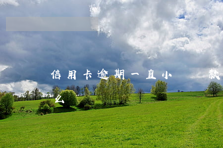 信用卡逾期一直小額還款(信用卡小額逾期怎么辦)