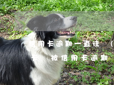 信用卡逾期一直往內(nèi)里存錢(儲蓄卡錢被信用卡逾期劃走了)