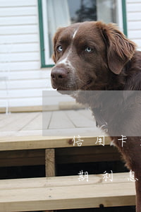 信用卡逾期一直收罰息-信用卡 逾期罰息 逾期利息