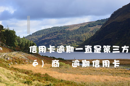 信用卡逾期一直是第三方(跟第三方協(xié)商還逾期信用卡應(yīng)該注意那些方面的問題)