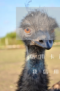 信用卡逾期一直有還但是(現(xiàn)在我信用卡逾期未還)