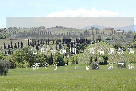 信用卡逾期一直有還款嗎(信用卡有逾期后已經(jīng)還了,還可以申請嗎?)
