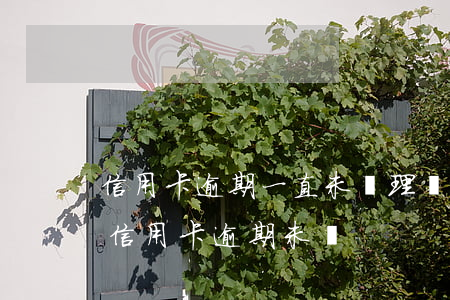 信用卡逾期一直未處理 現(xiàn)在我信用卡逾期未還