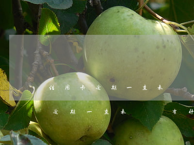 信用卡逾期一直未還會有什么后果-信用卡逾期一直未還會有什么后果嗎