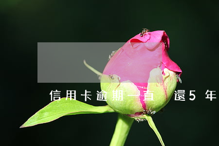 信用卡逾期一直沒還，5年后征信會消除嗎